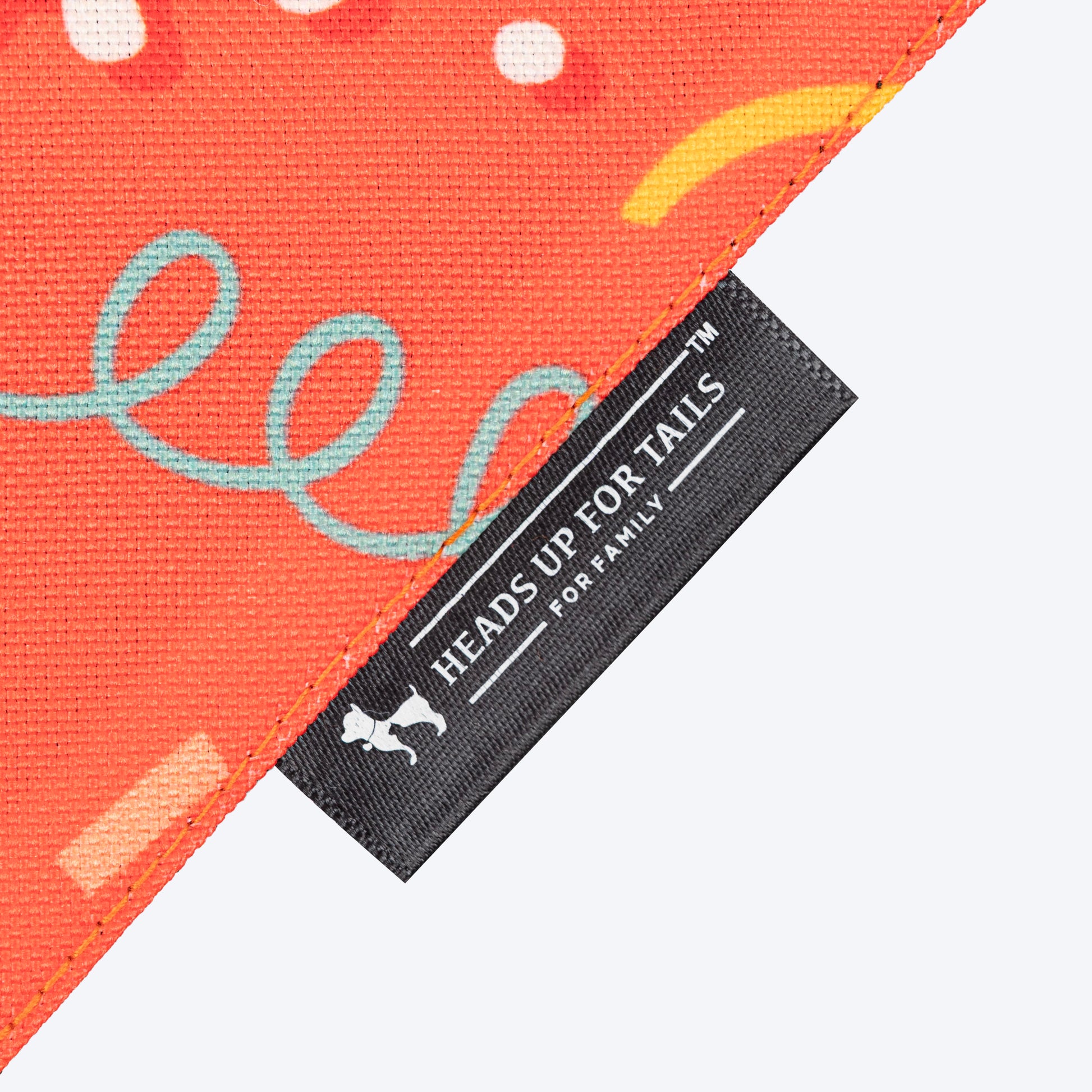 HUFT It's My Birthday Bandana For Dog - Orange - Heads Up For Tails
