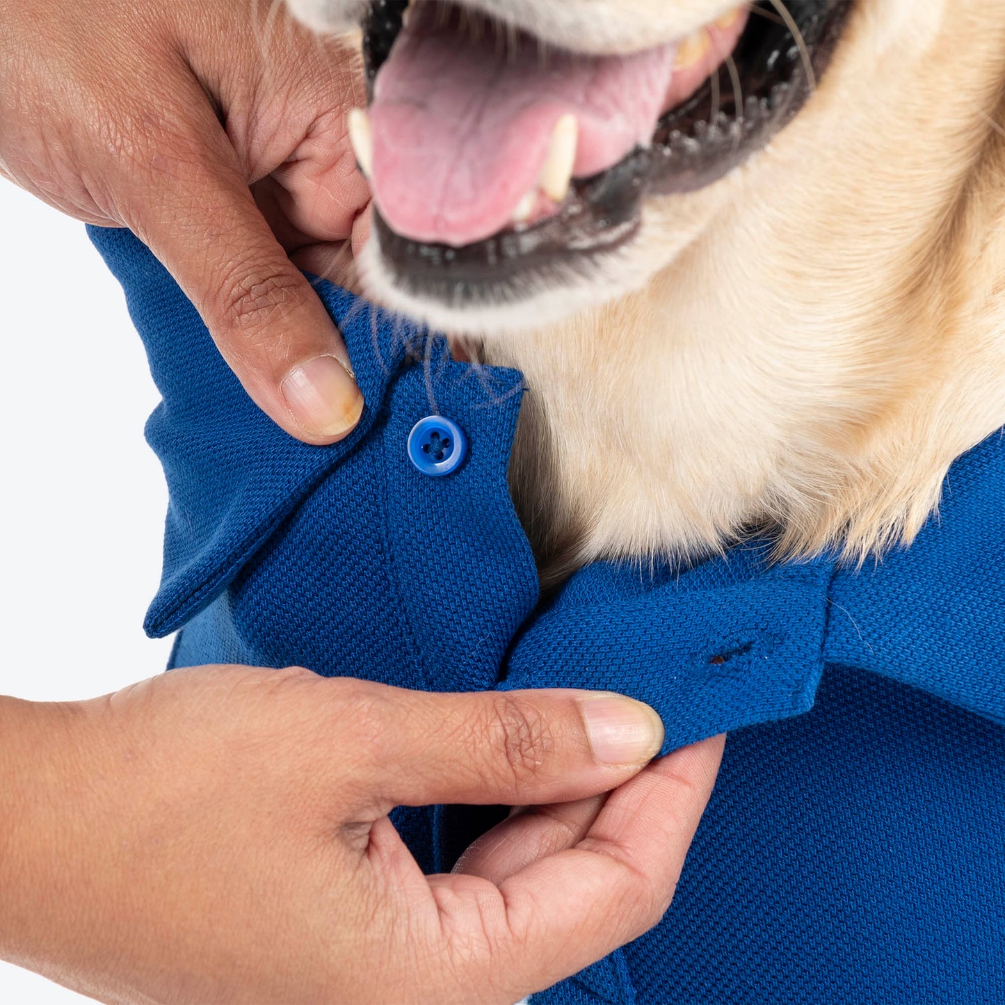 HUFT Paws Polo T-Shirt For Dog - Blue - Heads Up For Tails