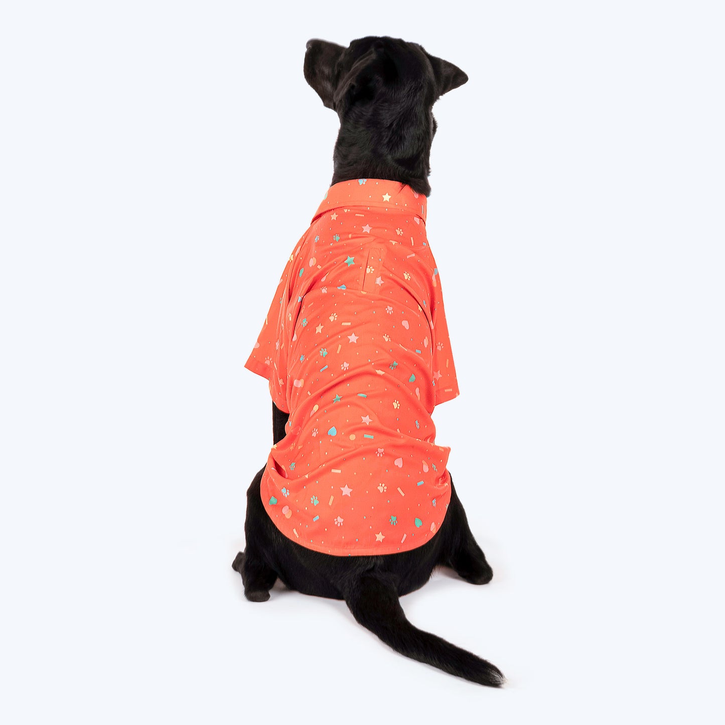 HUFT Party Ready Dog Shirt (Made To Order) - Heads Up For Tails