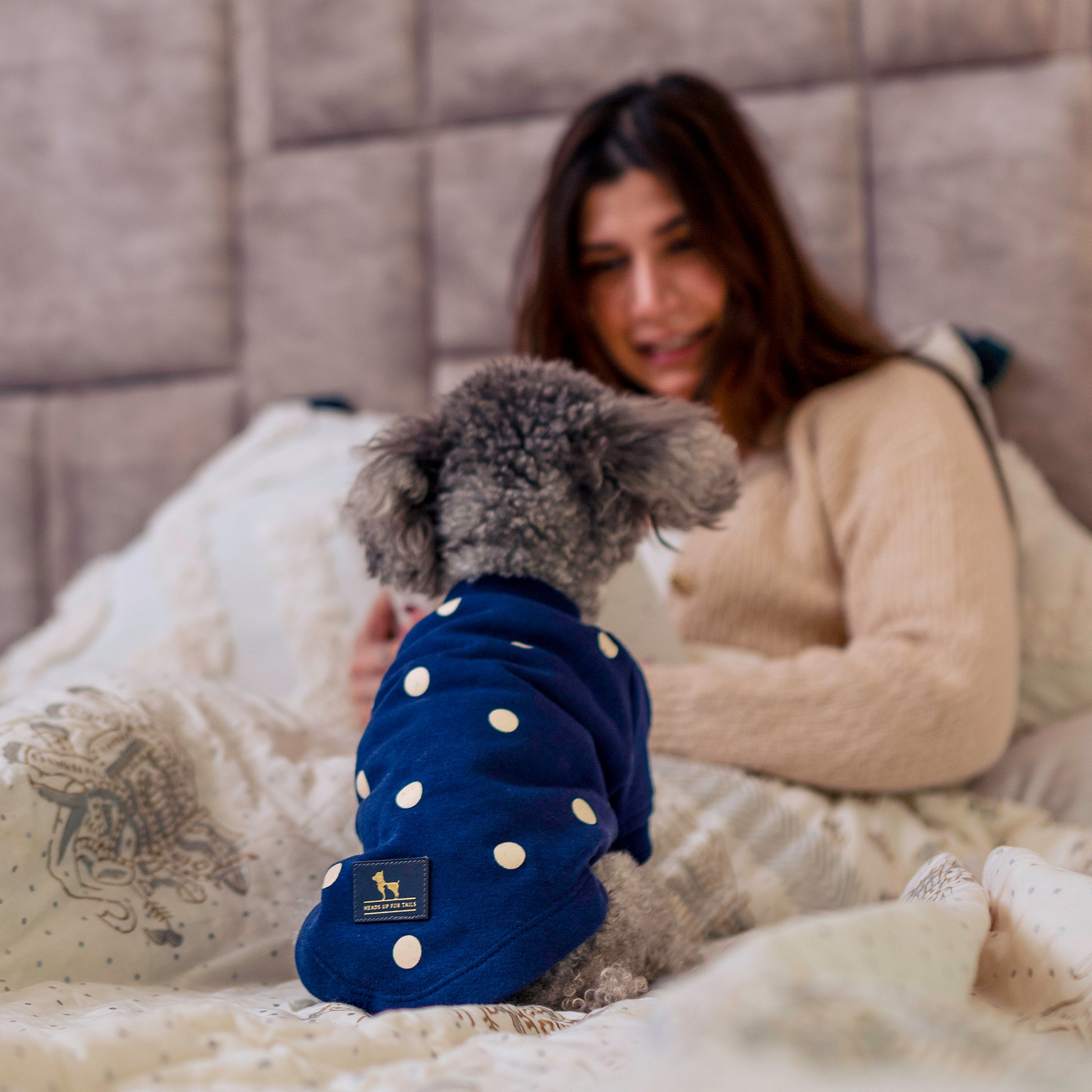 HUFT Polka Dot Sweatshirt For Pets - Navy - Heads Up For Tails