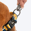 HUFT Daisy Stripes Collar For Dog - Blue & Yellow - Heads Up For Tails