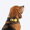 HUFT Daisy Stripes Collar For Dog - Blue & Yellow - Heads Up For Tails