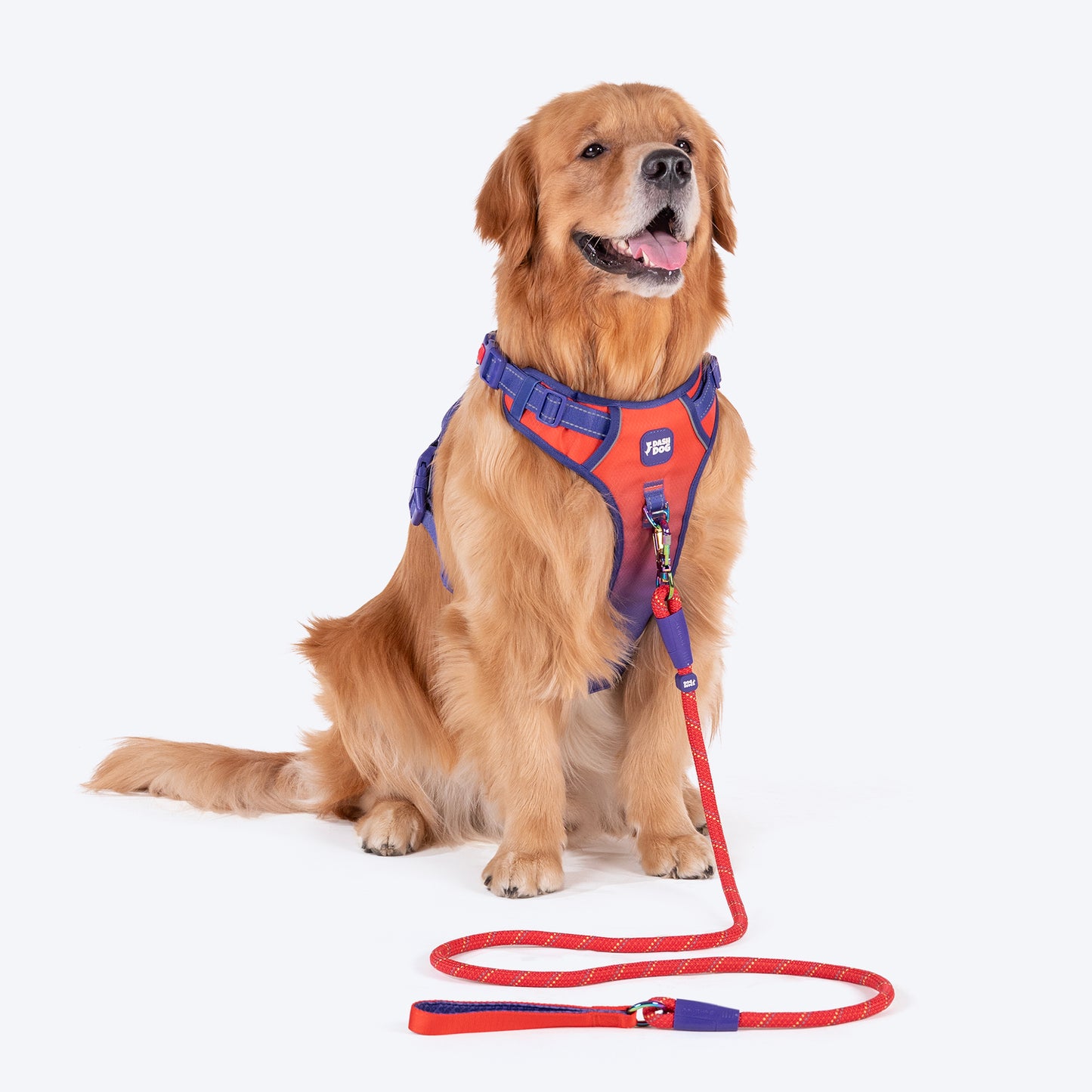 Dash Dog Chaser Rope Leash For Dog - Red - Heads Up For Tails
