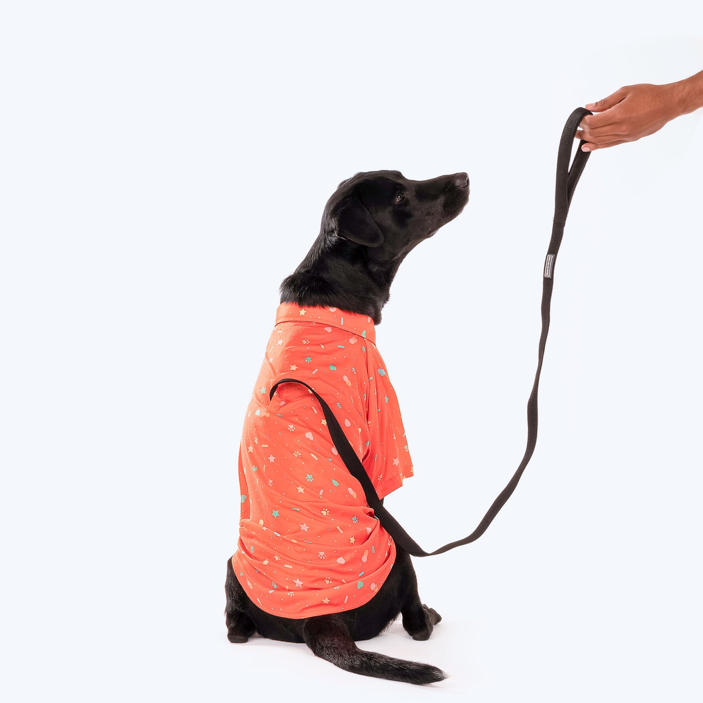 HUFT Party Ready Dog Shirt (Made To Order) - Heads Up For Tails