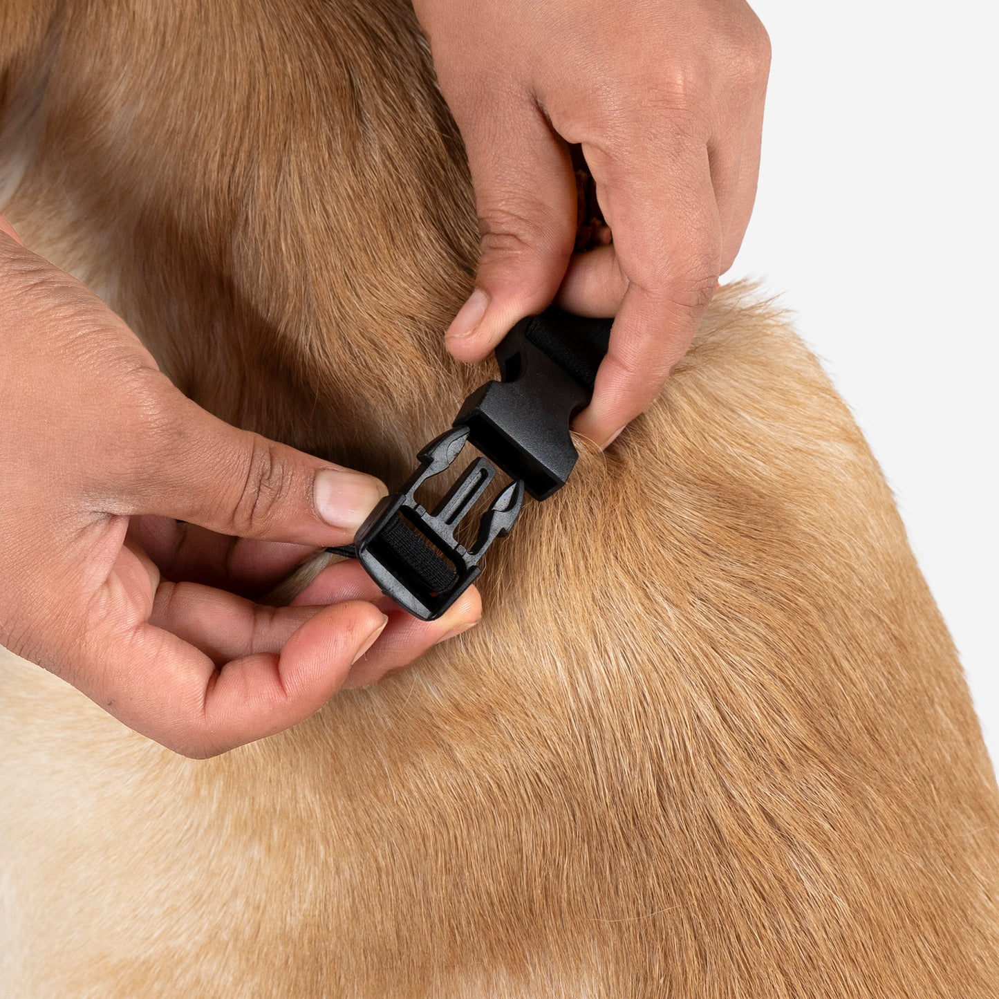 HUFT Aankhon Ka Tara Bandana For Dog - Orange - Heads Up For Tails