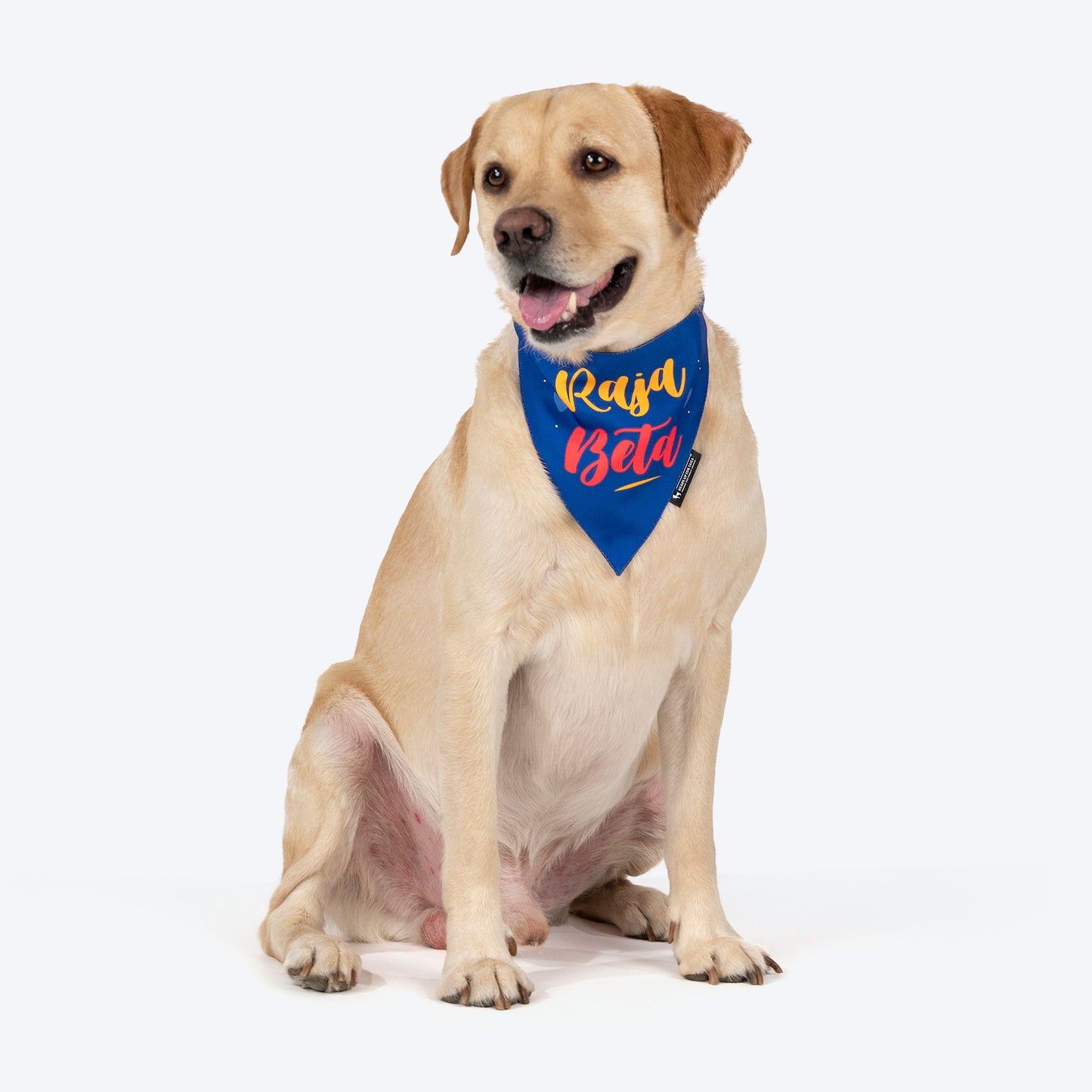 HUFT Raja Beta Bandana For Dog - Blue - Heads Up For Tails