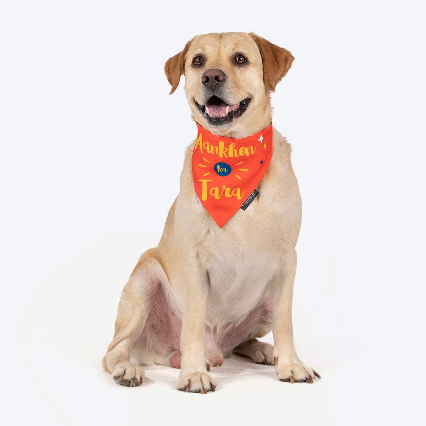 HUFT Aankhon Ka Tara Bandana For Dog - Orange - Heads Up For Tails