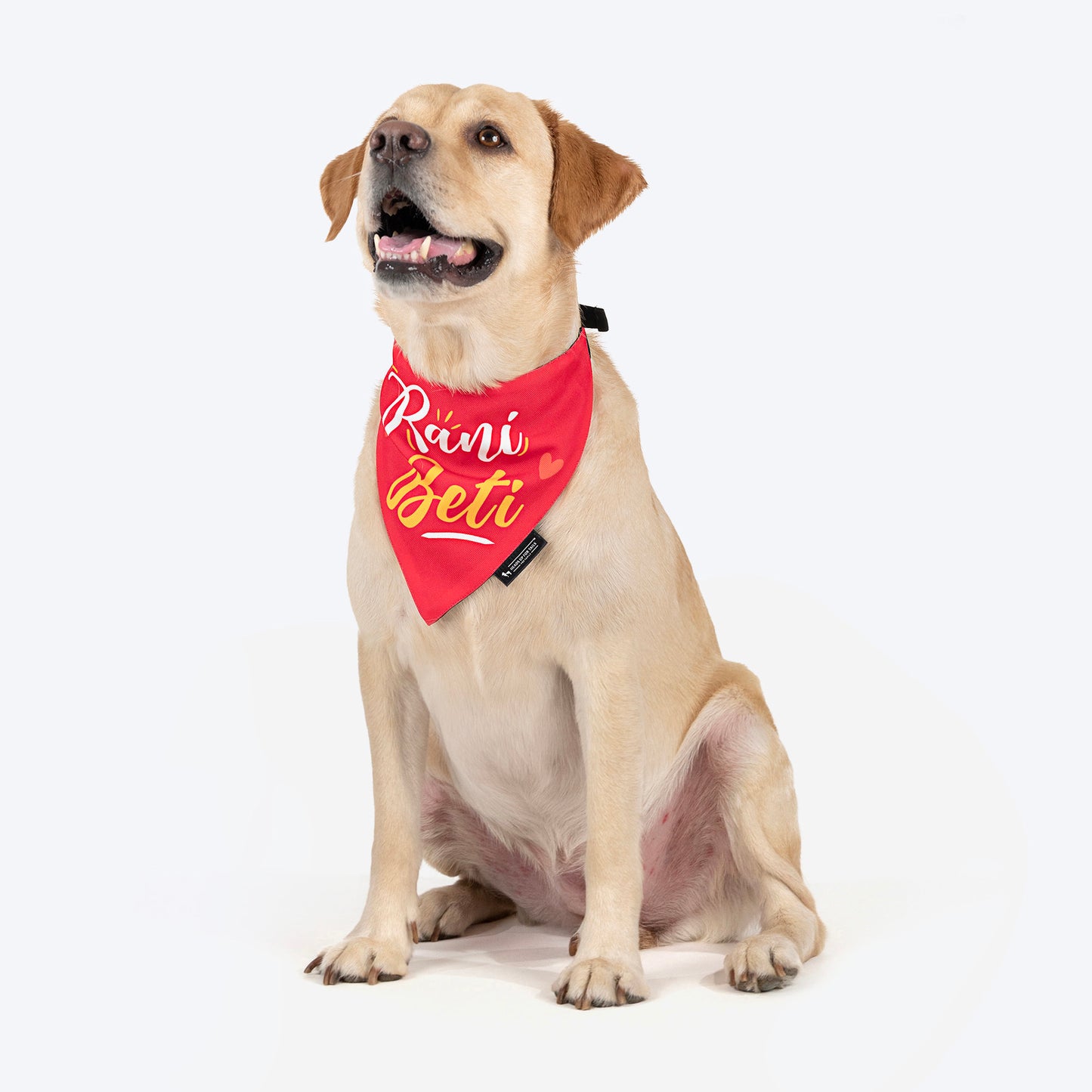 HUFT Rani Beti Bandana For Dog - Pink - Heads Up For Tails