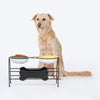 HUFT Pawlicious Double Diner For Dog - Multicolor - Heads Up For Tails