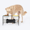 HUFT Pawlicious Double Diner For Dog - Multicolor - Heads Up For Tails