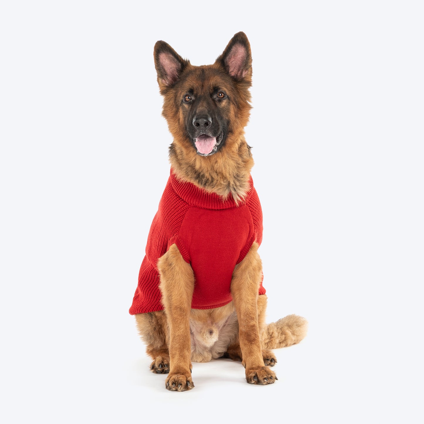 HUFT Berry Merry Sweater For Dog - Red