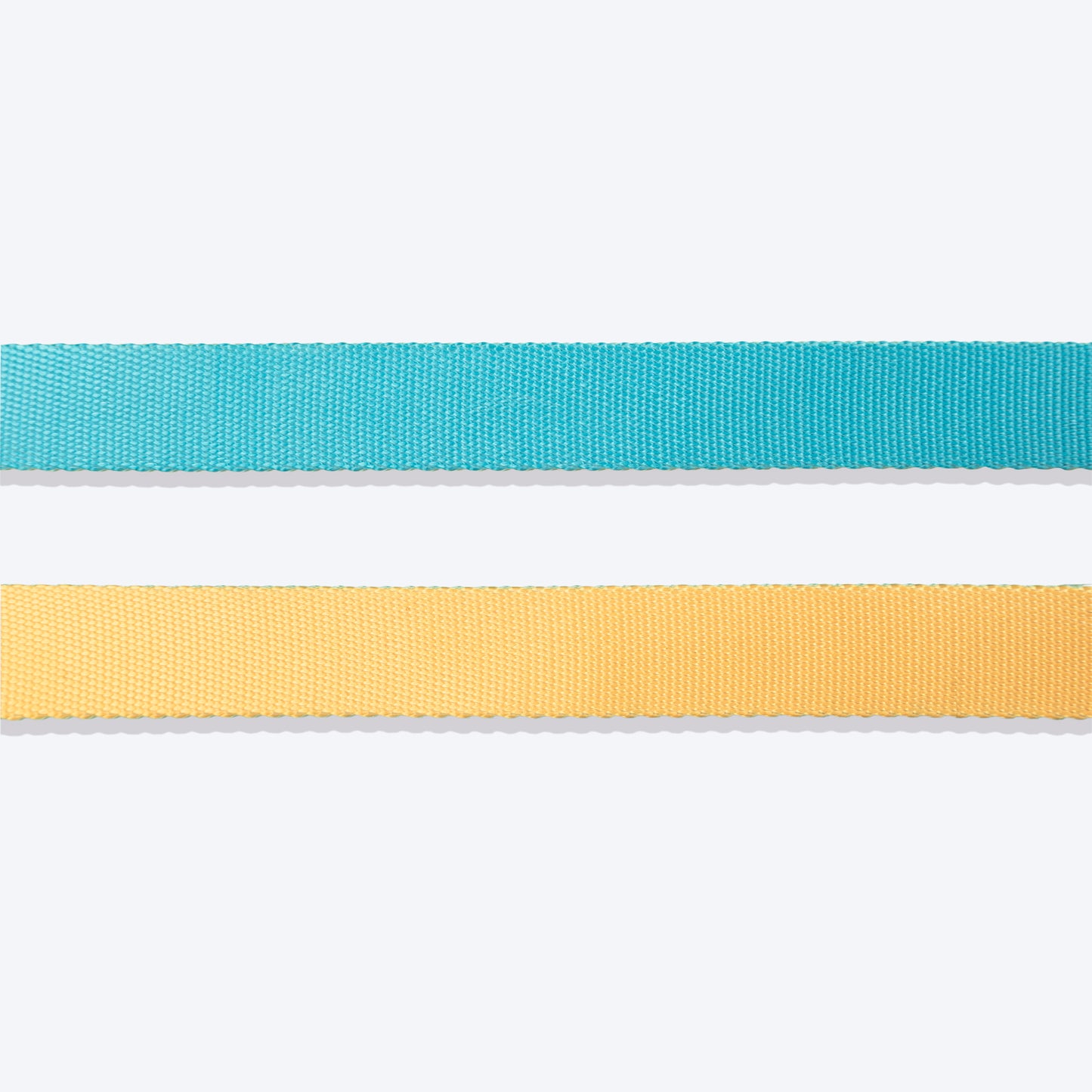 HUFT Dichromatic Leash For Dog - Turquoise & Yellow - Heads Up For Tails