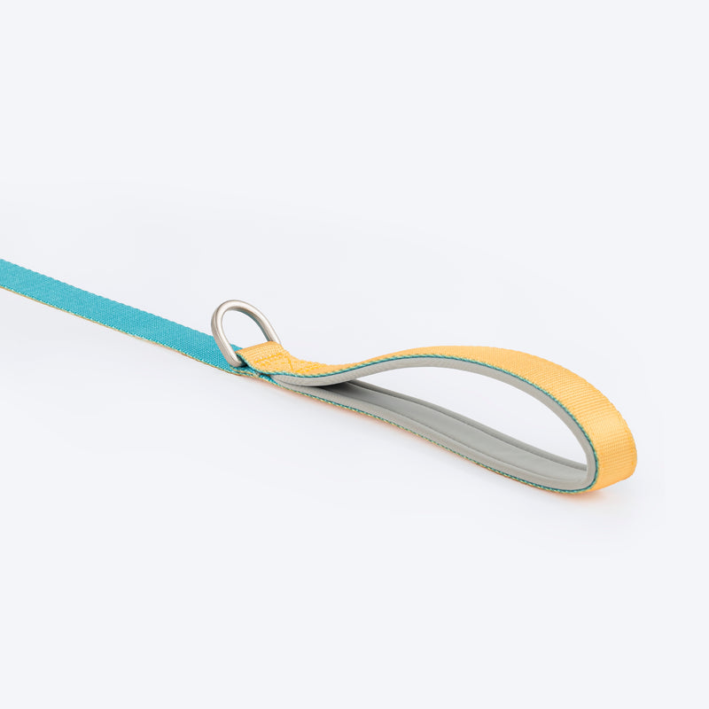 HUFT Dichromatic Leash For Dog - Turquoise & Yellow - Heads Up For Tails