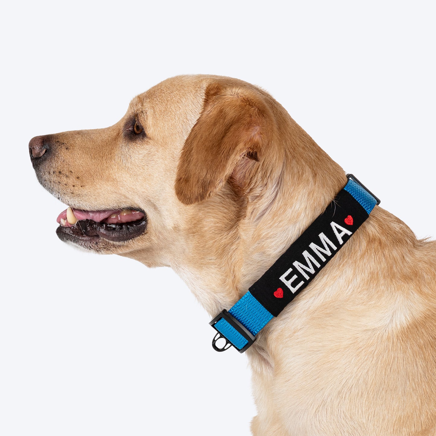 HUFT Classic Personalised Dog Collar - Ocean Blue - Heads Up For Tails