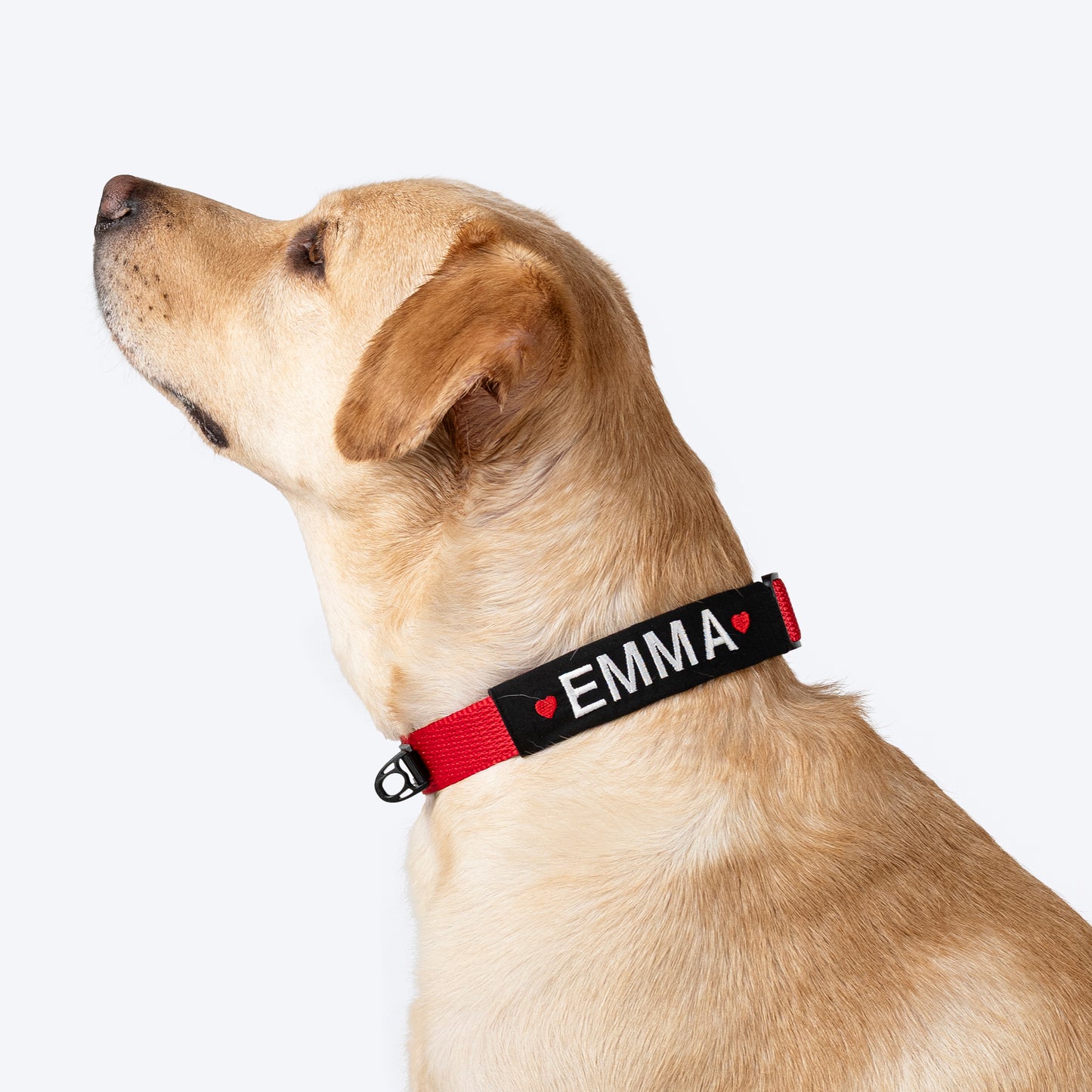 HUFT Classic Personalised Dog Collar - Cherry Red - Heads Up For Tails