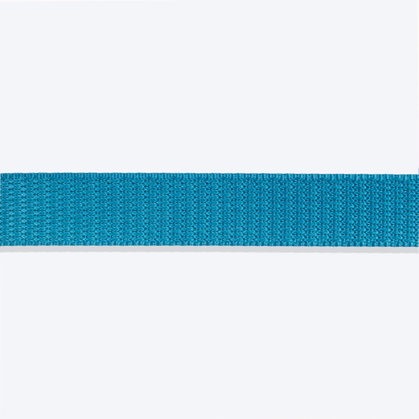 HUFT Basics Dog Leash - Teal Blue - Heads Up For Tails