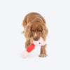 HUFT Squeaky Piggy Plush Toy For Dog - Pink - Heads Up For Tails