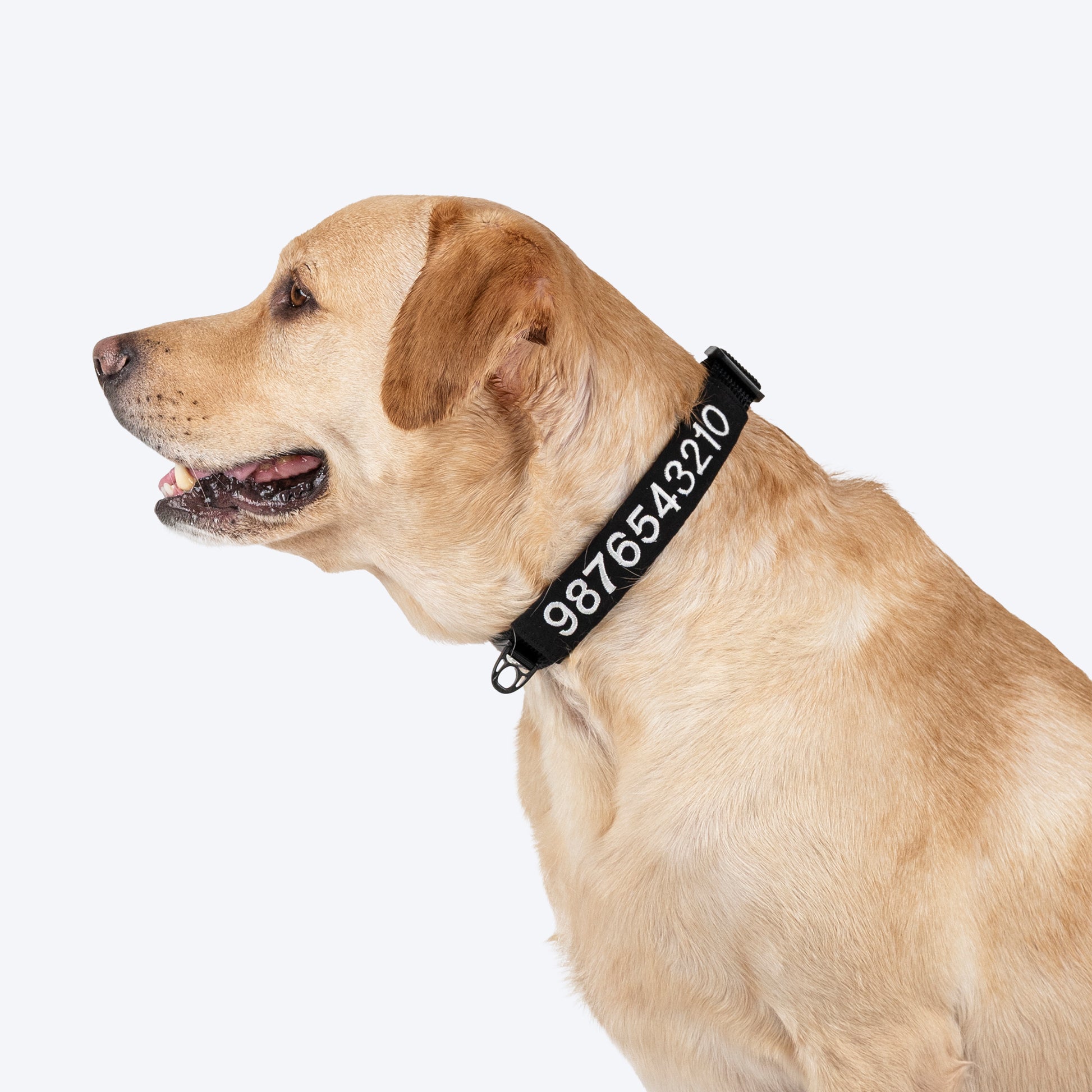 HUFT Classic Personalised (Mobile No.) Dog Collar - Coal Black - Heads Up For Tails