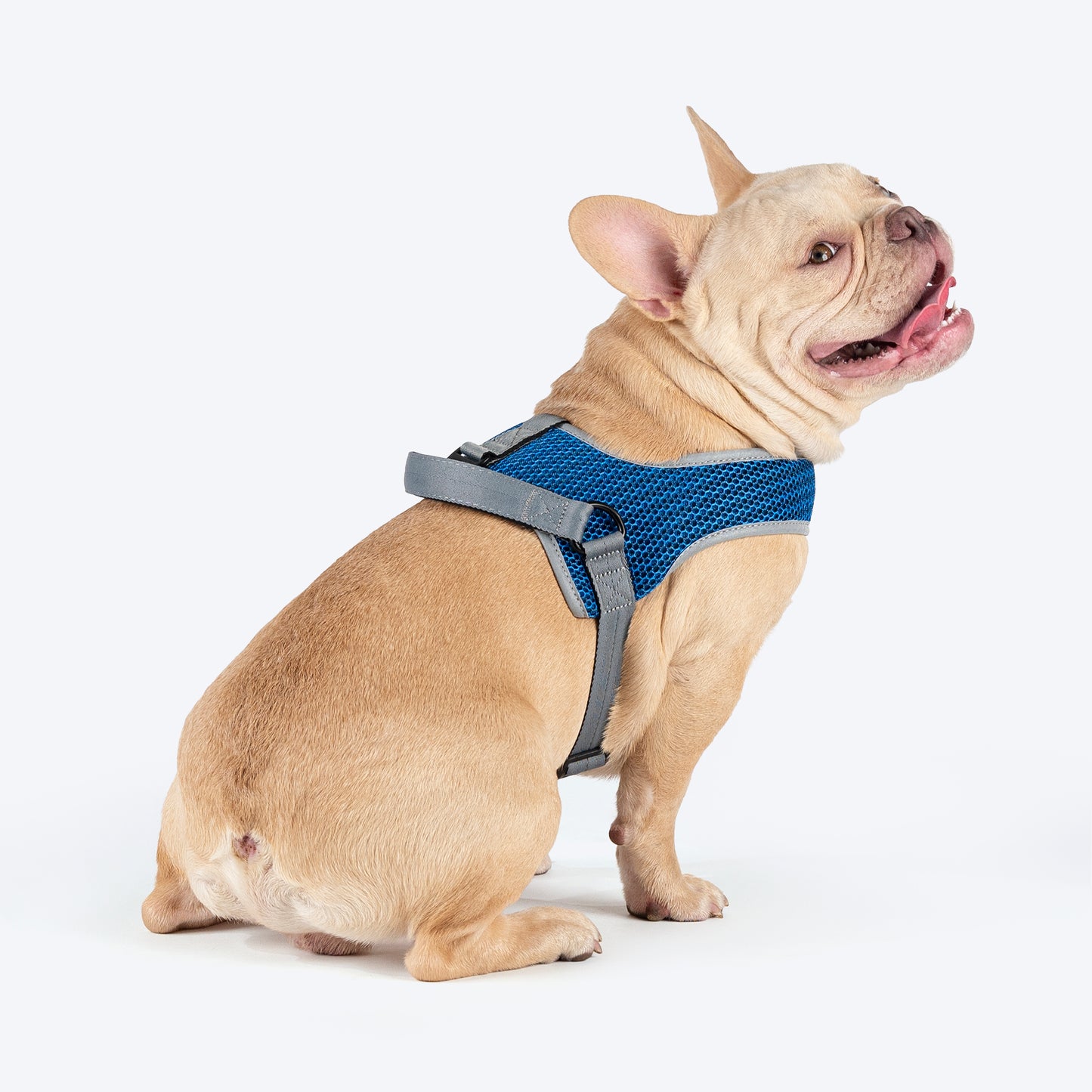 HUFT Easy Fit U-Harness For Dog - Blue - Heads Up For Tails