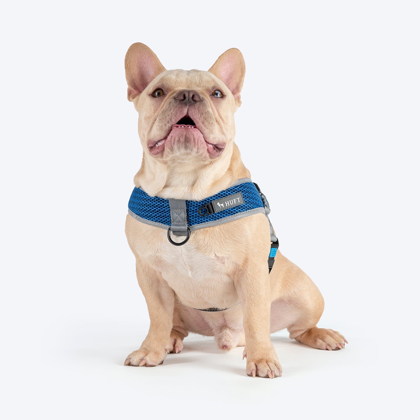 HUFT Easy Fit U-Harness For Dog - Blue - Heads Up For Tails