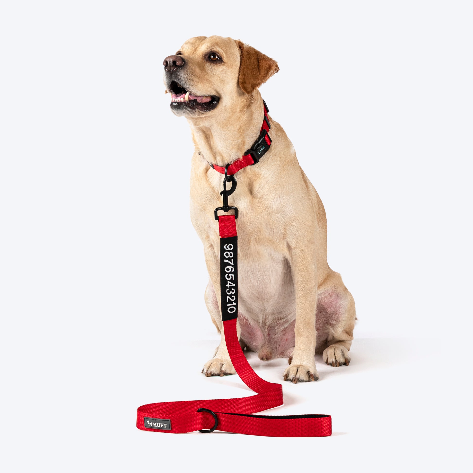 HUFT Classic Personalised (Mobile No.) Dog Leash - Cherry Red - Heads Up For Tails
