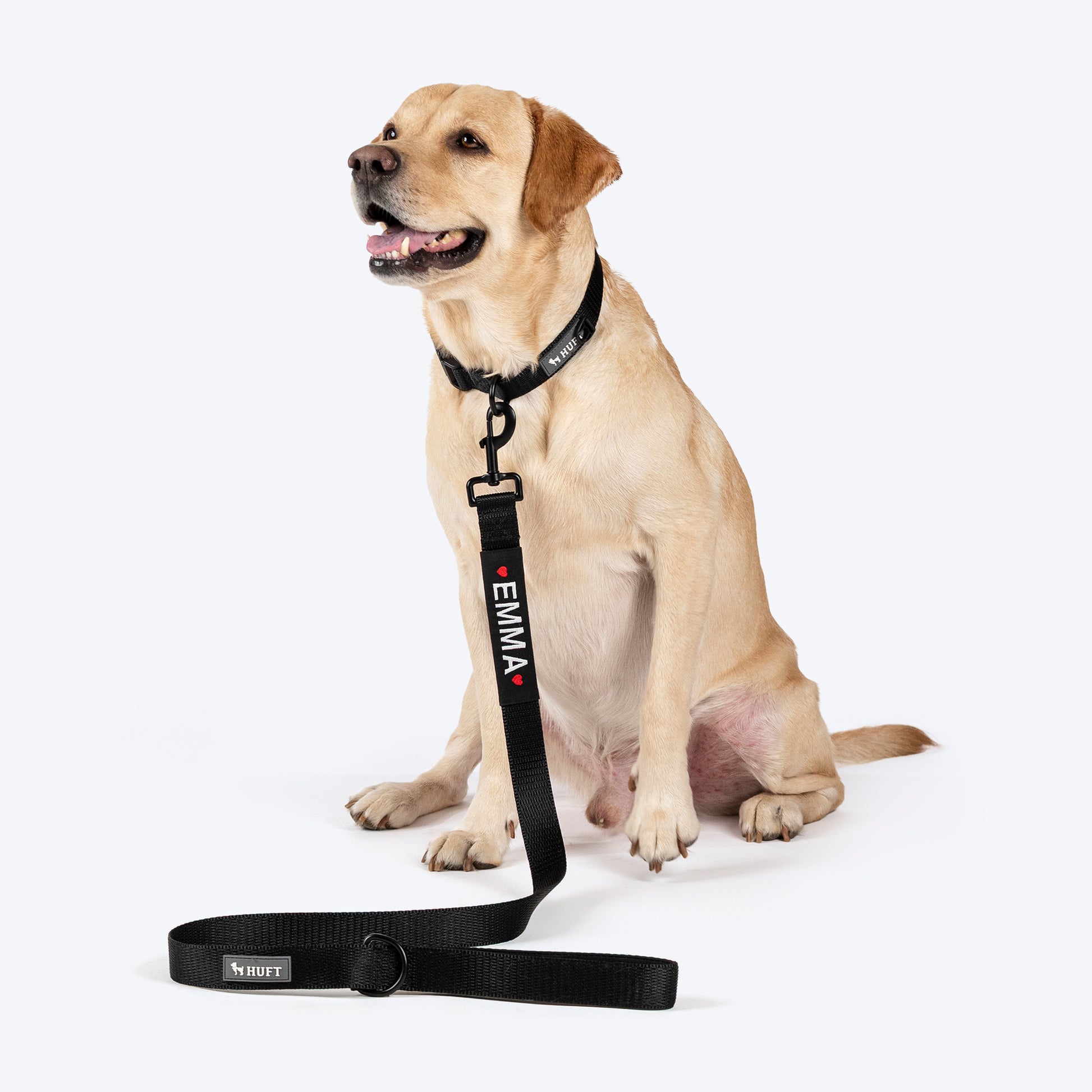HUFT Classic Personalised Dog Leash - Coal Black - Heads Up For Tails