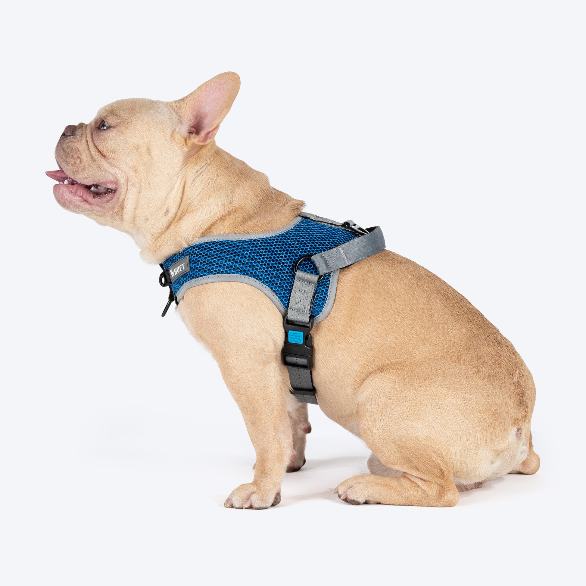 HUFT Easy Fit U-Harness For Dog - Blue - Heads Up For Tails