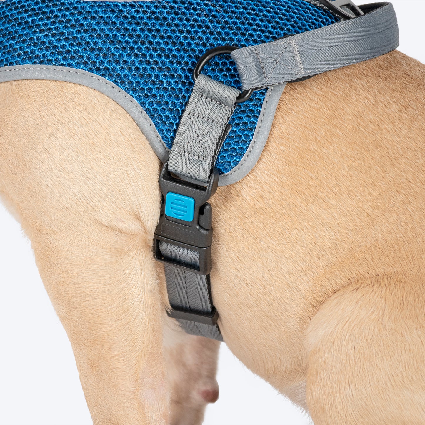 HUFT Easy Fit U-Harness For Dog - Blue - Heads Up For Tails