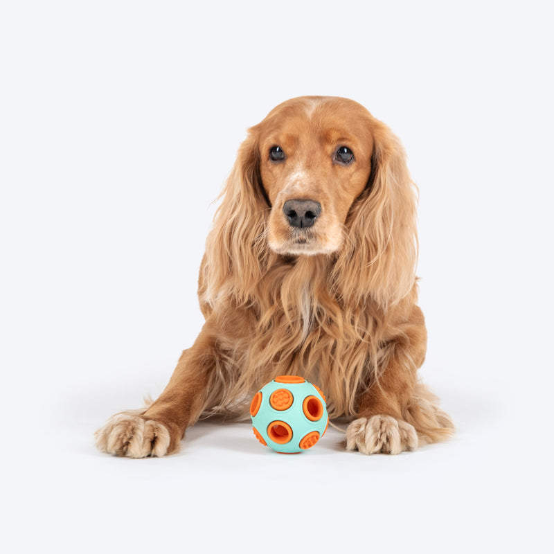 Dash Dog Toss ‘n’ Treat Ball Chew Toy For Dog - Blue & Orange - S - Heads Up For Tails