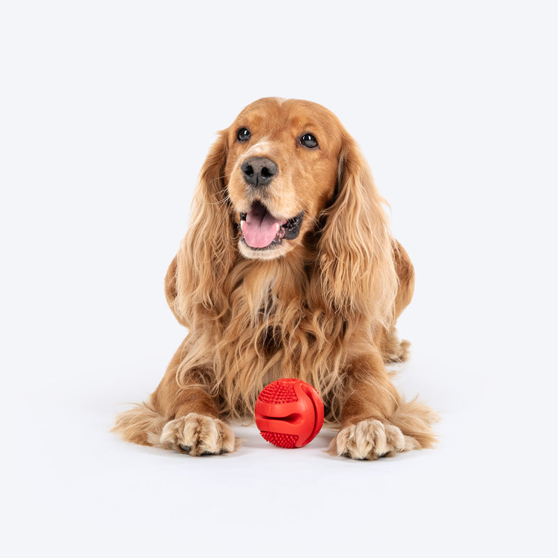 Dash Dog Spikey Snacker Chew Ball Dog Toy - Red - Heads Up For Tails