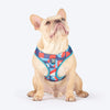 HUFT Free Flow Step-In Harness & Leash Set For Dog - Geomatrix Blue - Heads Up For Tails
