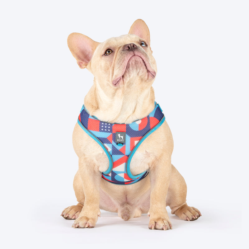 HUFT Free Flow Step-In Harness & Leash Set For Dog - Geomatrix Blue - Heads Up For Tails