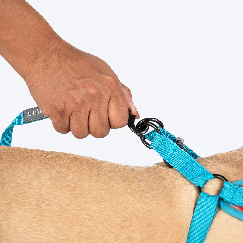 HUFT Free Flow Step-In Harness & Leash Set For Dog - Geomatrix Blue - Heads Up For Tails