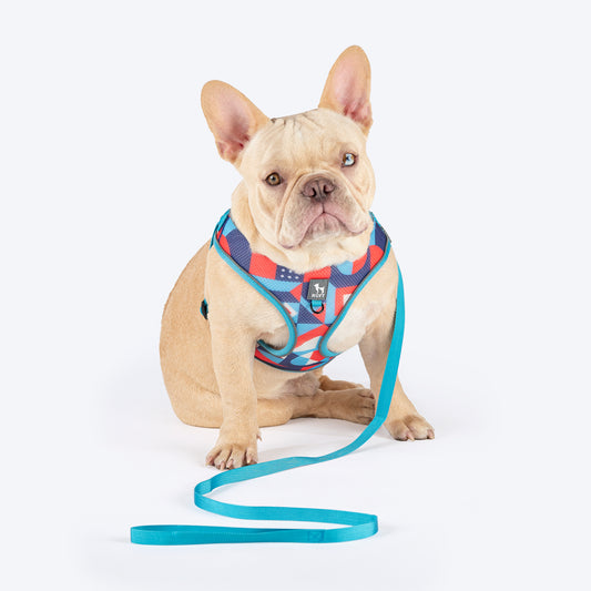 HUFT Free Flow Step-In Harness & Leash Set For Dog - Geomatrix Blue - Heads Up For Tails