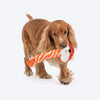 HUFT Foxy Fun Squeaky Plush Toy For Dog - Orange - Heads Up For Tails