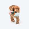 HUFT Star Power Squeaky Plush Toy For Dog - Multicolor - Heads Up For Tails