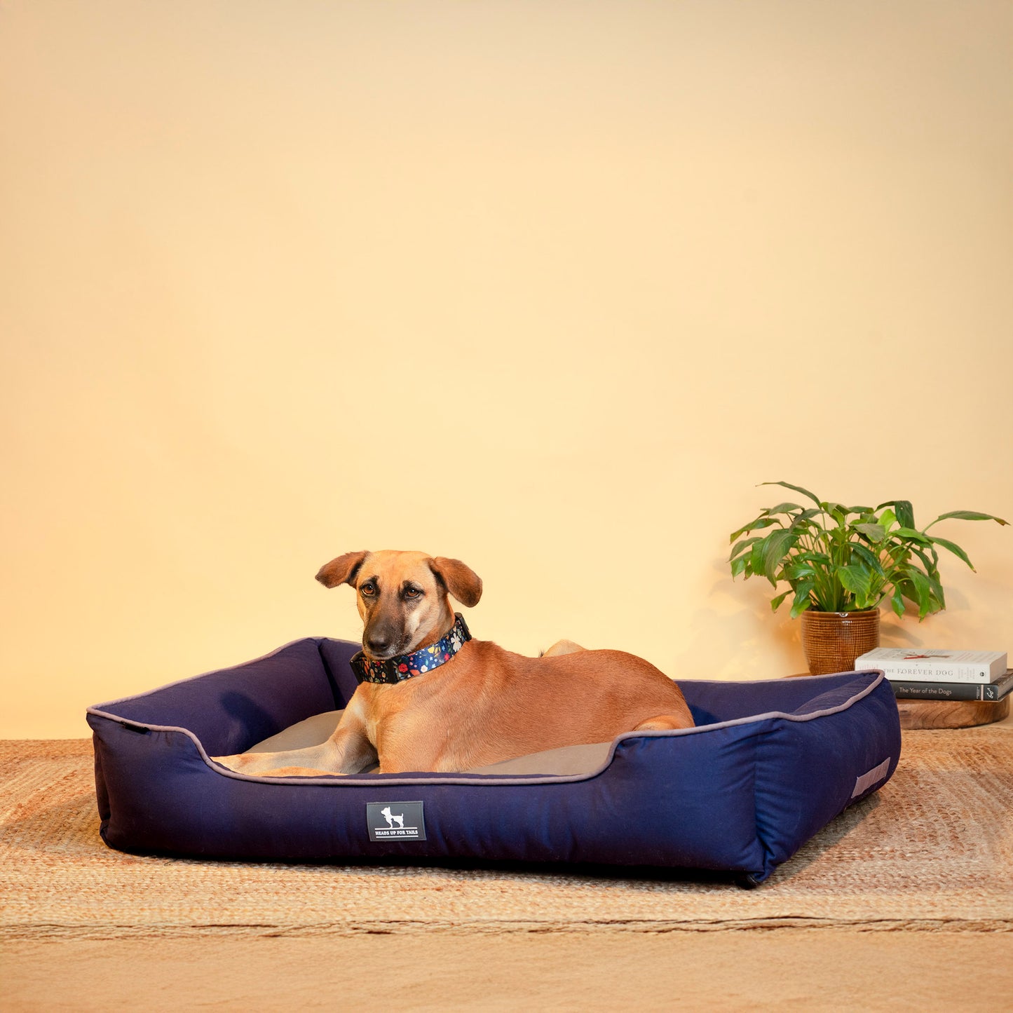 HUFT Classic Lounger Dog Bed - Grey & Navy - Heads Up For Tails