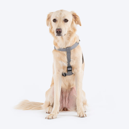 TLC Step-In Harness For Dog - Grey - Heads Up For Tails