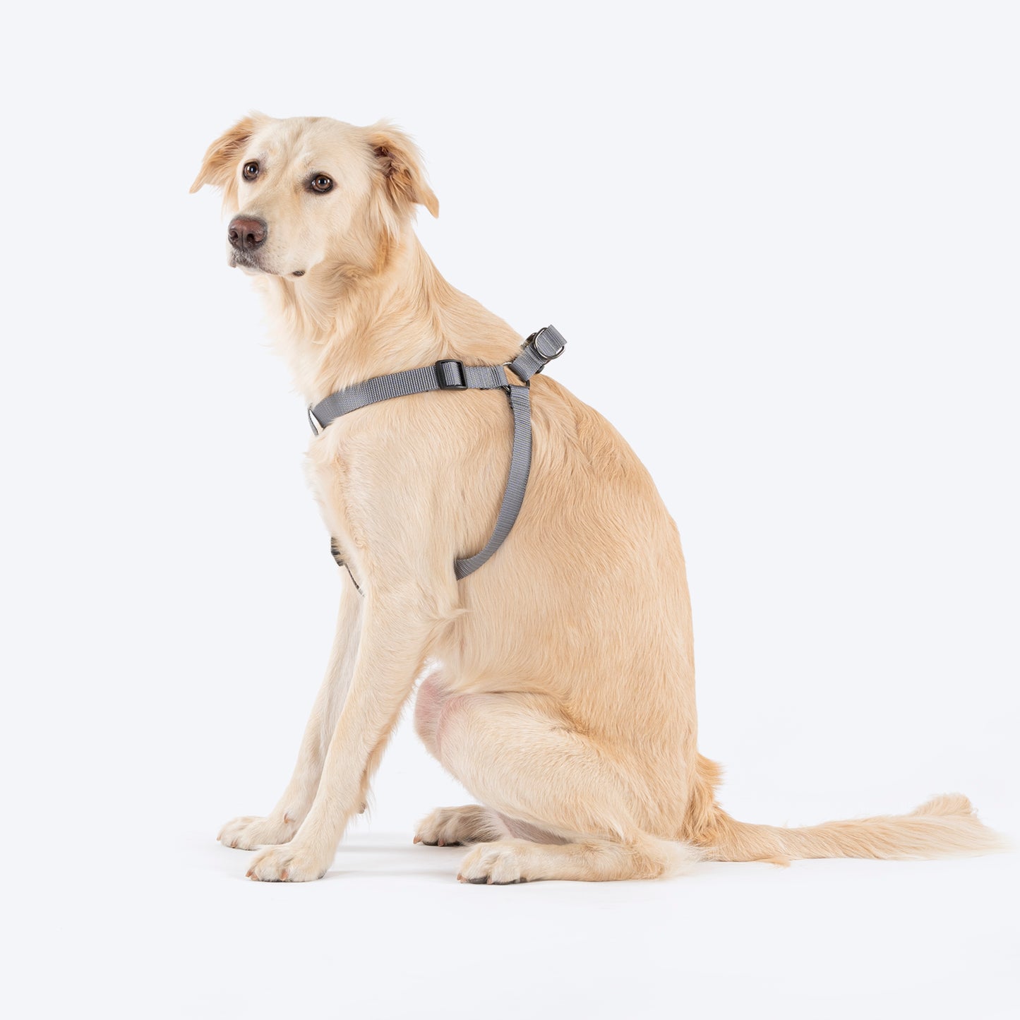 TLC Step-In Harness For Dog - Grey - Heads Up For Tails