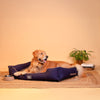 HUFT Classic Lounger Dog Bed - Grey & Navy - Heads Up For Tails