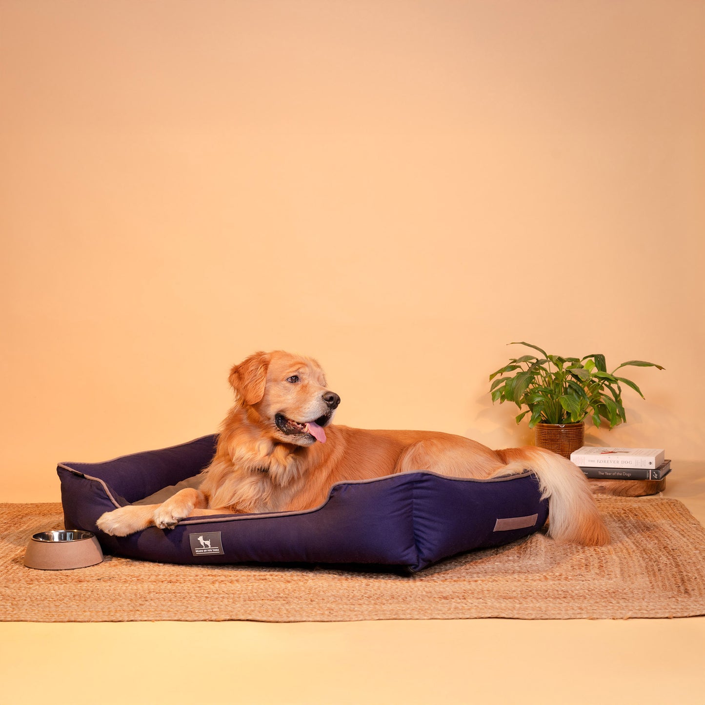 HUFT Classic Lounger Dog Bed - Grey & Navy - Heads Up For Tails