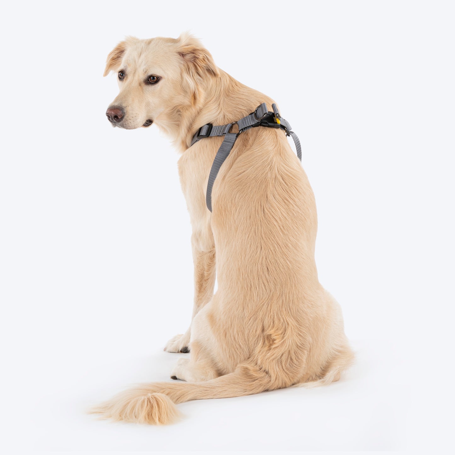 TLC Step-In Harness For Dog - Grey - Heads Up For Tails