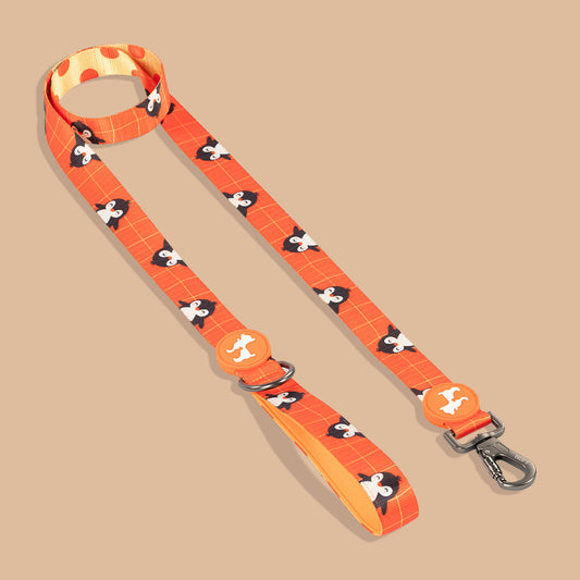 HUFT Peppy Penguin Leash For Dog - Orange