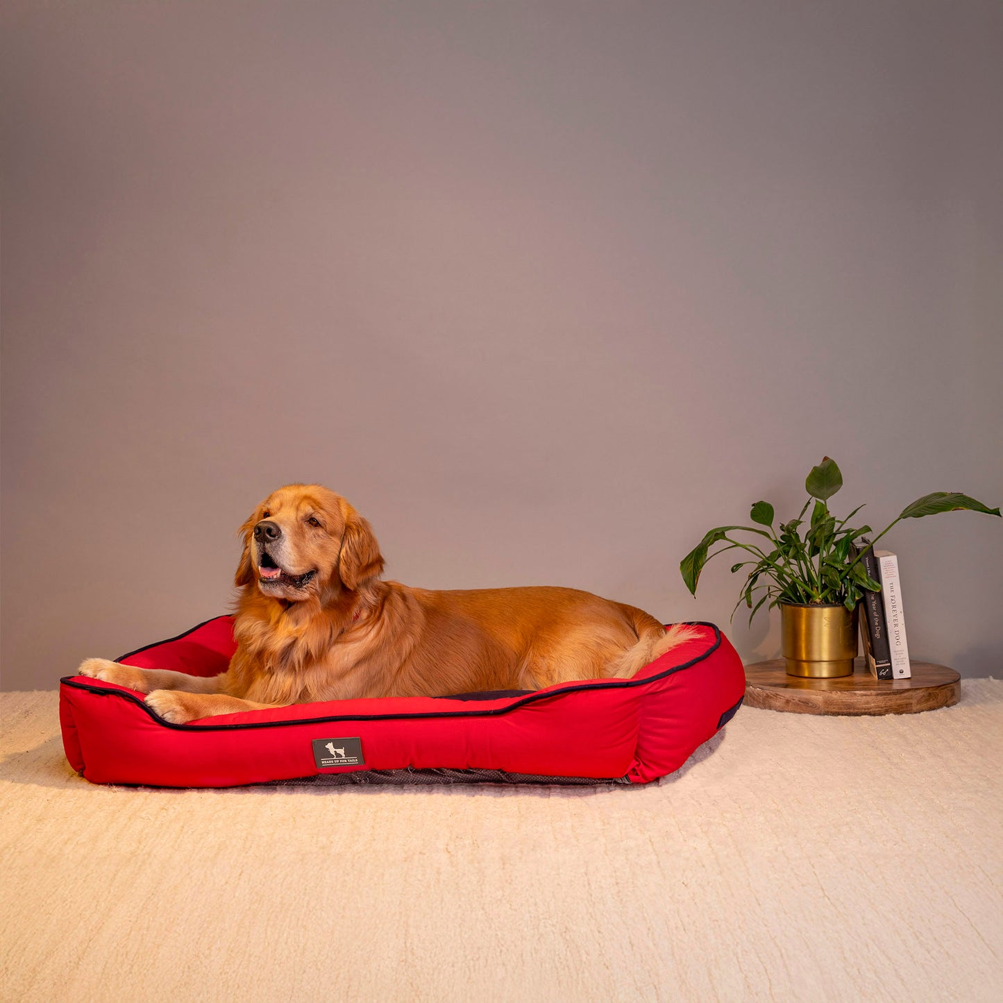HUFT Classic Lounger Beds For Dogs - Red & Navy - Heads Up For Tails