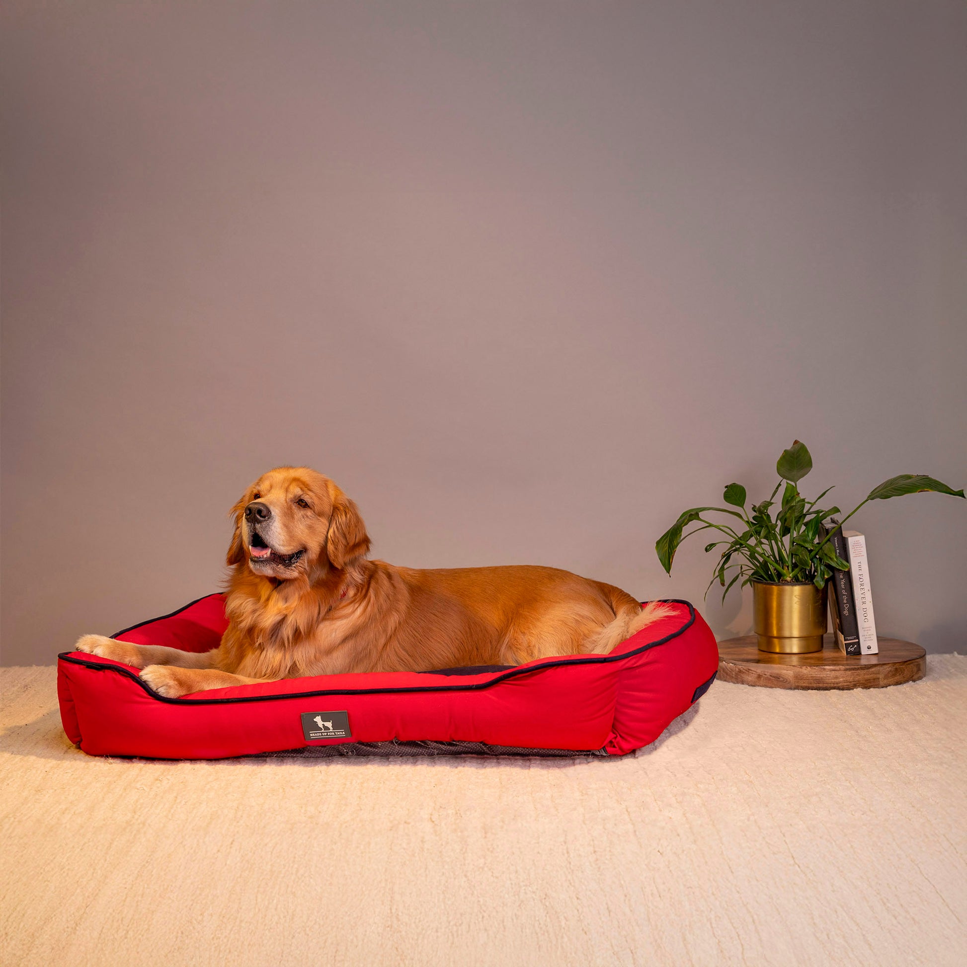 HUFT Classic Lounger Beds For Dogs - Red & Navy - Heads Up For Tails