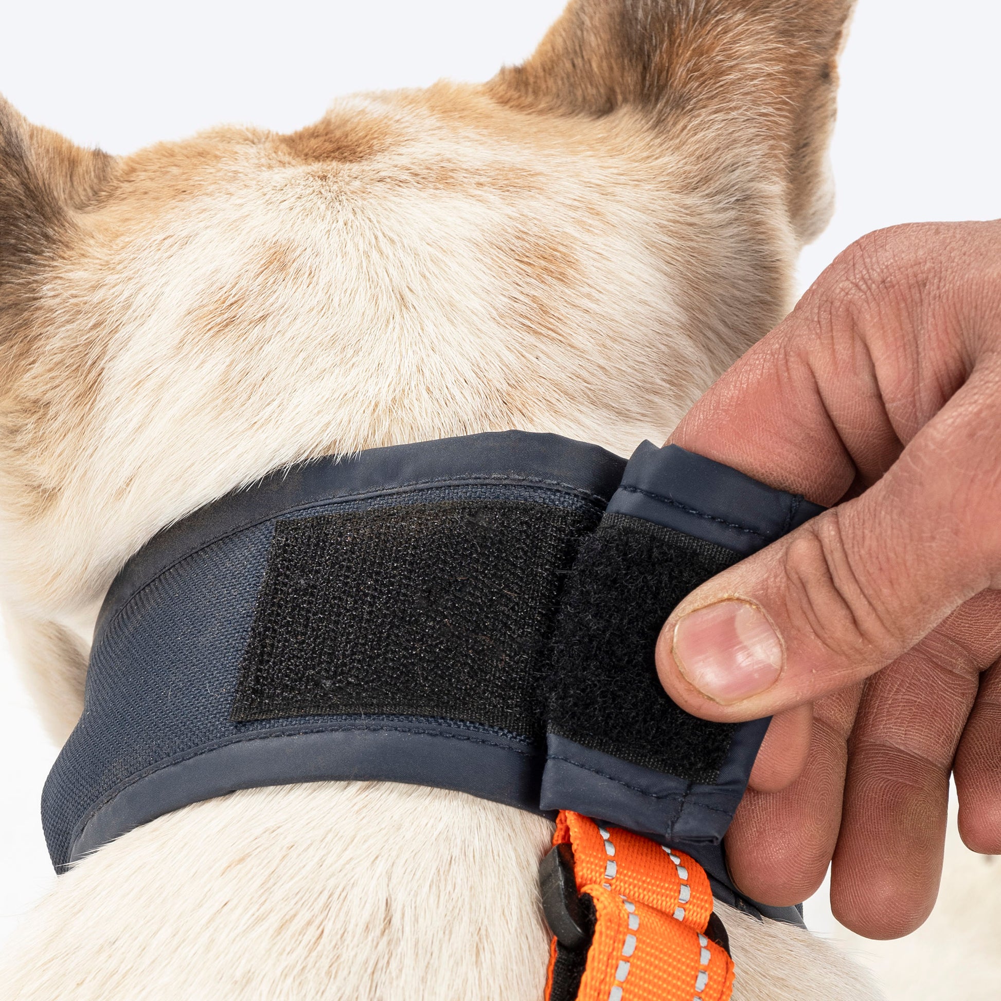 HUFT Trooper Drag Bag Harness For Dog - Navy Blue - Heads Up For Tails