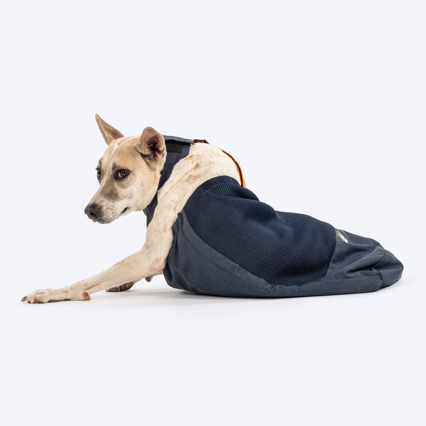 HUFT Trooper Drag Bag Harness For Dog - Navy Blue