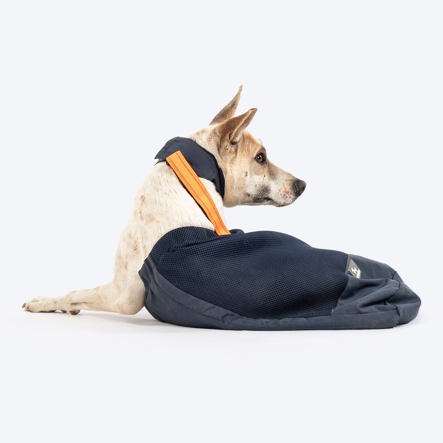 HUFT Trooper Drag Bag Harness For Dog - Navy Blue