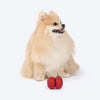 Dash Dog Twist 'n' Chew Toy For Dog - Red - Heads Up For Tails