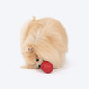 Dash Dog Twist 'n' Chew Toy For Dog - Red - Heads Up For Tails